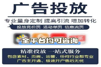SEM代运营案例分析：精准投放策略解析